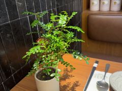 -CURRY YA 熟成咖哩專門店(深圳湾万象城店)
