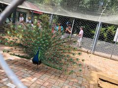 -长白岛森林公园