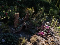 -中国科学院西双版纳热带植物园