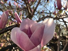 -星巴克(天津五大道店)