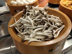 -龍歌自助小火锅(市南金茂湾店)