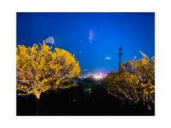 -九女仙湖景区