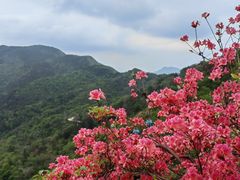 -木兰云雾山