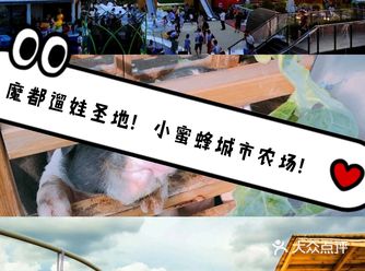 城市里的农场！快带宝宝去遛遛吧！