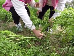 -前小桔亲子创意农场·草莓采摘·露营烧烤
