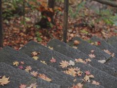 -三块石国家森林公园