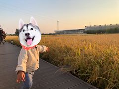 -禾悦庄餐厅