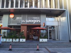 -Wagas沃歌斯(枫蓝国际店)