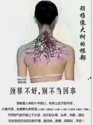 -天姿美容·美体科技SPA·艾姿美店