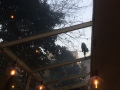 -RGF(巨鹿路店)