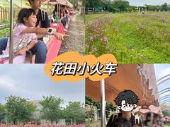 -盈香心动乐园