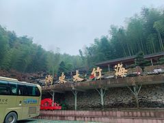 -宁波浙东大竹海景区