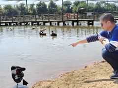 -鄱阳湖国家湿地公园