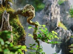 -西安汉城湖景区