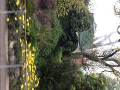 -怀托摩萤火虫洞