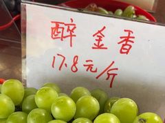 -马陆小张葡萄园农家乐