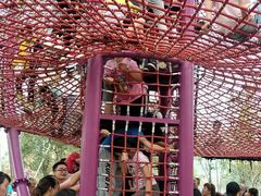 -枫香湖儿童公园