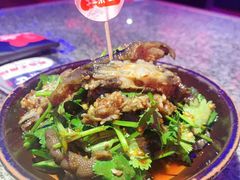 -蛙来哒(诚丰广场店)