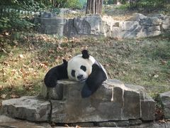 -慢丽江·庭院云南火锅(付家庄店)