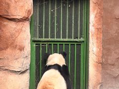 -安吉竹博园