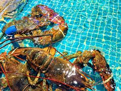 -驻海渔市(置信店)