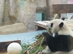 -无锡动物园·太湖欢乐园