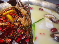 -九鼎轩脆毛肚火锅(三钢里店)