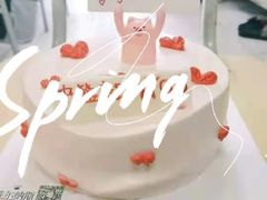 -维尔纳斯·生日蛋糕动物奶油冰淇淋蛋糕(人大店)