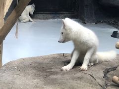 -海合安青岛极地海洋公园