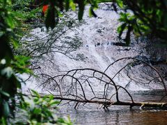 -龙苍沟森林公园