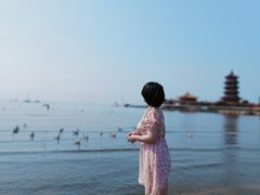 -蓬莱仙岛