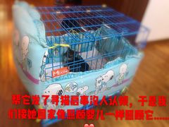 -艾贝尔宠物医院·24H转诊中心·肿瘤猫专科(江宁双龙店)