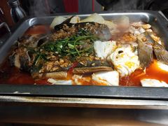 -黑猫馋纸包鱼(阳光店)