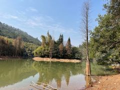 -滴水岩森林公园