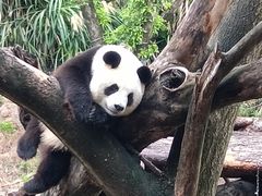 -宁波野生动物园
