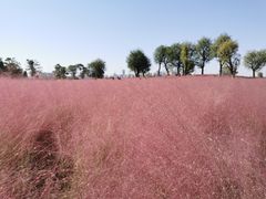 -汉长安城未央宫国家考古遗址公园