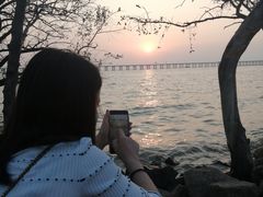 -宝安西湾红树林湿地公园