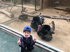 -青岛森林野生动物世界