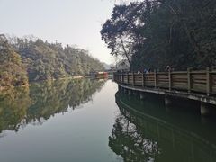 -青城山
