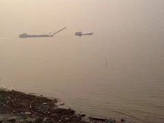 -湖南东洞庭湖国家级自然保护区