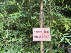 -山沟沟景区