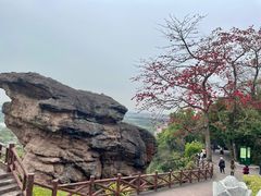 -广州莲花山旅游区