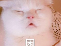 -安吉龙王山峡谷漂流
