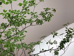 -二酉书店TOYOU BOOKS