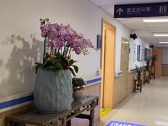 -上海市第四人民医院