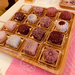 -诗安嘉康月子中心(金阳店)