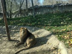 -北京野生动物园