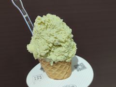 -野人先生现做冰淇淋(北京环宇荟店)
