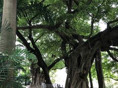 -九龙公园