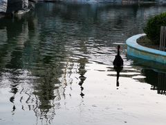 -蓬莱欧乐堡梦幻世界